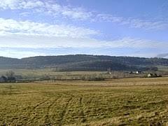 Turzec